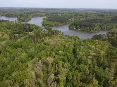 Hidden Hollow: Private 2-Lot Gem Near Buggs Island Lake, VA - image 10