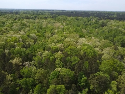 Hidden Hollow: Private 2-Lot Gem Near Buggs Island Lake, VA - image 9