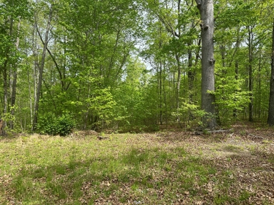 The Landing At Kerr Lake Buildable Wooded Lots VA - image 5