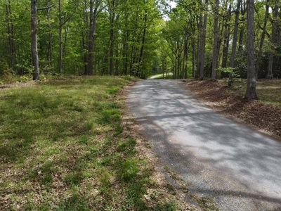 The Landing At Kerr Lake Buildable Wooded Lots VA - image 16
