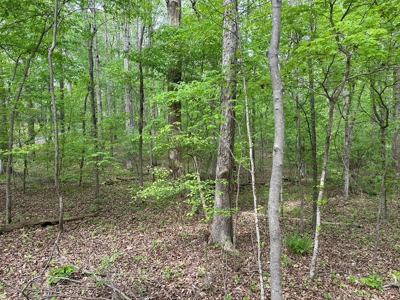 The Landing At Kerr Lake Buildable Wooded Lots VA - image 11