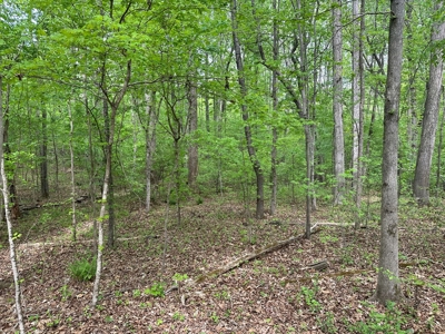 The Landing At Kerr Lake Buildable Wooded Lots VA - image 10