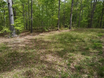 The Landing At Kerr Lake Buildable Wooded Lots VA - image 17