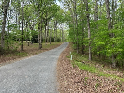 The Landing At Kerr Lake Buildable Wooded Lots VA - image 12