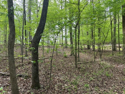 The Landing At Kerr Lake Buildable Wooded Lots VA - image 9