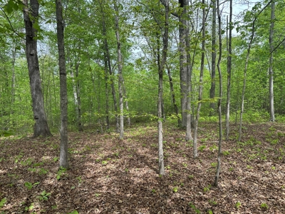 The Landing At Kerr Lake Buildable Wooded Lots VA - image 8