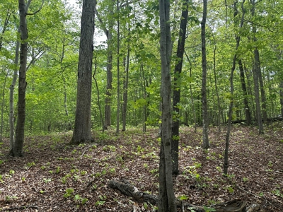 The Landing At Kerr Lake Buildable Wooded Lots VA - image 4