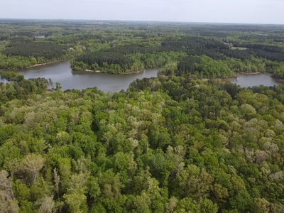 The Landing At Kerr Lake Buildable Wooded Lots VA - image 20
