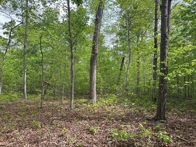 The Landing At Kerr Lake Buildable Wooded Lots VA - image 7