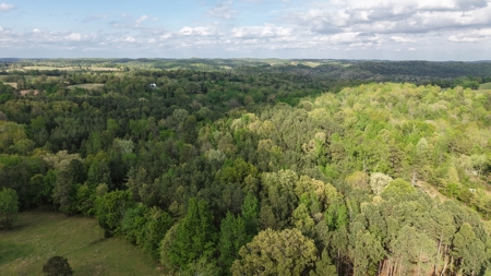 Land And Home For Sale In North Central Arkansas - image 10