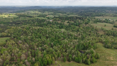 Land And Home For Sale In North Central Arkansas - image 16
