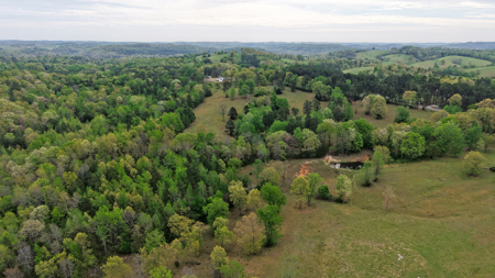 Land And Home For Sale In North Central Arkansas - image 2