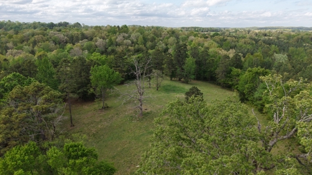 Land And Home For Sale In North Central Arkansas - image 9