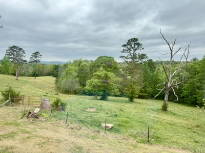 Land And Home For Sale In North Central Arkansas - image 36
