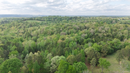 Land And Home For Sale In North Central Arkansas - image 11