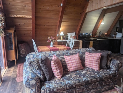 Northern Michigan A-Frame Cabin - 2 Lots in Canada Creek Ranch - image 17