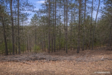Northern Michigan A-Frame Cabin - 2 Lots in Canada Creek Ranch - image 6