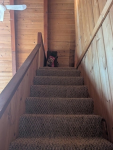 Northern Michigan A-Frame Cabin - 2 Lots in Canada Creek Ranch - image 18