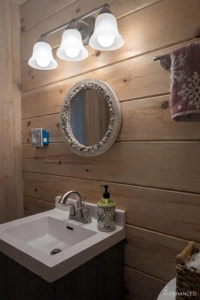 Northern Michigan A-Frame Cabin - 2 Lots in Canada Creek Ranch - image 4