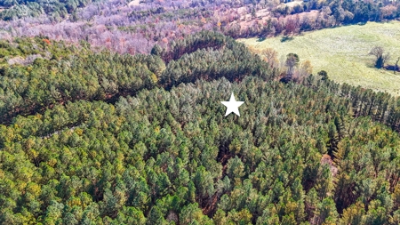 Adjacent Lots For Sale with Broad River Access - Cleveland County - image 9