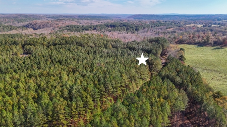 Adjacent Lots For Sale with Broad River Access - Cleveland County - image 13