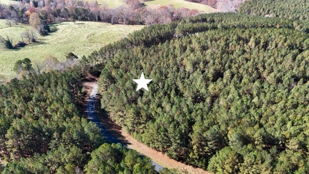 Adjacent Lots For Sale with Broad River Access - Cleveland County - image 8