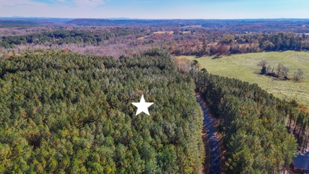 Adjacent Lots For Sale with Broad River Access - Cleveland County - image 3