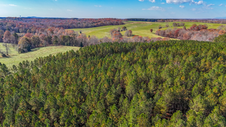 Adjacent Lots For Sale with Broad River Access - Cleveland County - image 14