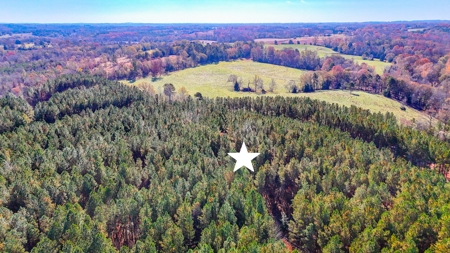 Adjacent Lots For Sale with Broad River Access - Cleveland County - image 4