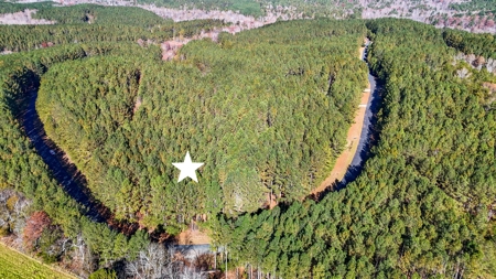 Adjacent Lots For Sale with Broad River Access - Cleveland County - image 12