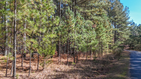 Adjacent Lots For Sale with Broad River Access - Cleveland County - image 18