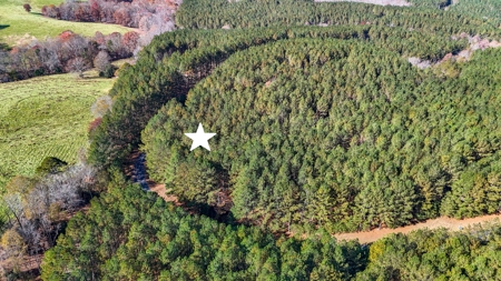 Adjacent Lots For Sale with Broad River Access - Cleveland County - image 7