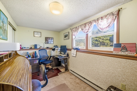 Montrose Colorado Horse Property on 2+ Acres w/ Irrigation - image 35