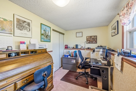 Montrose Colorado Horse Property on 2+ Acres w/ Irrigation - image 36