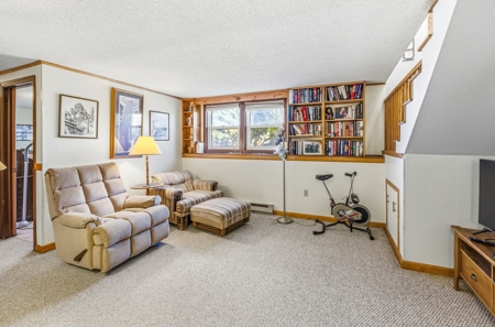 Montrose Colorado Horse Property on 2+ Acres w/ Irrigation - image 34