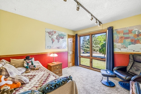 Montrose Colorado Horse Property on 2+ Acres w/ Irrigation - image 28