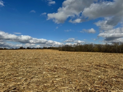 24 Hilltop Acres In Daviess County Missouri - image 5