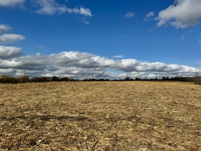 24 Hilltop Acres In Daviess County Missouri - image 2