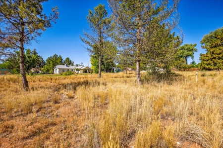 PERFECT 3-Bed Cortez Home on 1.5+ Acres with Orchard, Shop w Elec - image 21