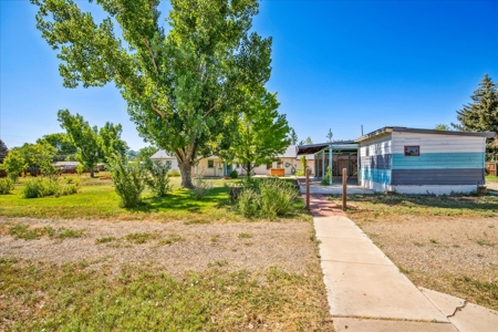 PERFECT 3-Bed Cortez Home on 1.5+ Acres with Orchard, Shop w Elec - image 7