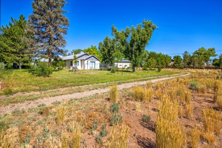 PERFECT 3-Bed Cortez Home on 1.5+ Acres with Orchard, Shop w Elec - image 18