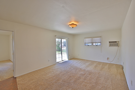 Colorado Country Home with Acreage and Greenhouse For Sale - image 9