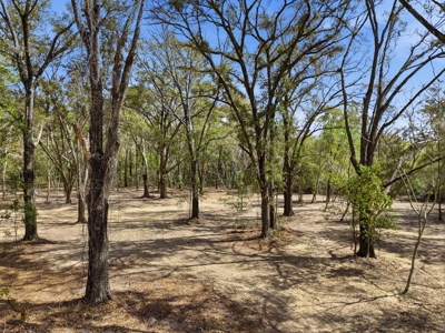 Country Living in Newberry,Florida - image 25