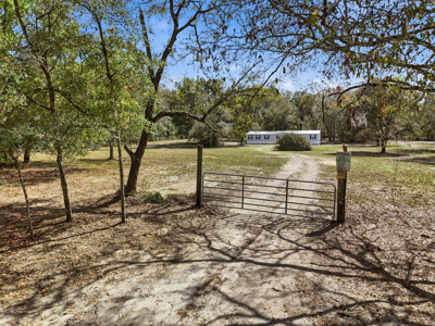 Country Living in Newberry,Florida - image 3