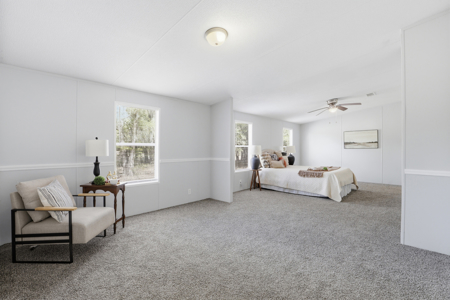 Country Living in Newberry,Florida - image 20