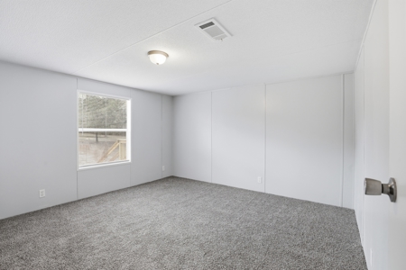 Country Living in Newberry,Florida - image 16