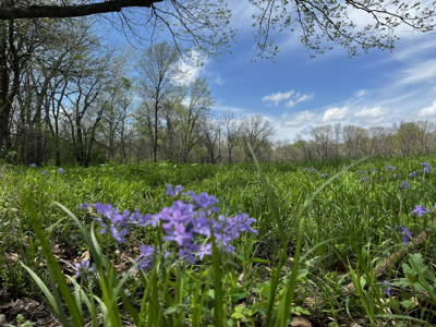 Land For Sale Cleveland Missouri - image 12