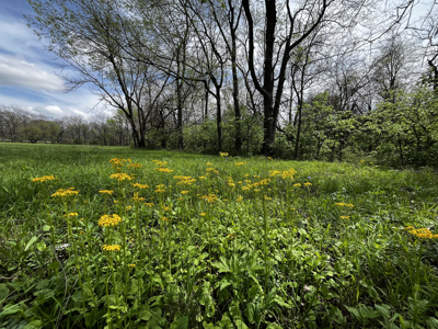 Land For Sale Cleveland Missouri - image 13