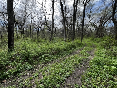 Land For Sale Cleveland Missouri - image 8