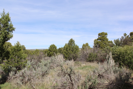 Beautiful Custom Home In Southwest Colorado! - image 29